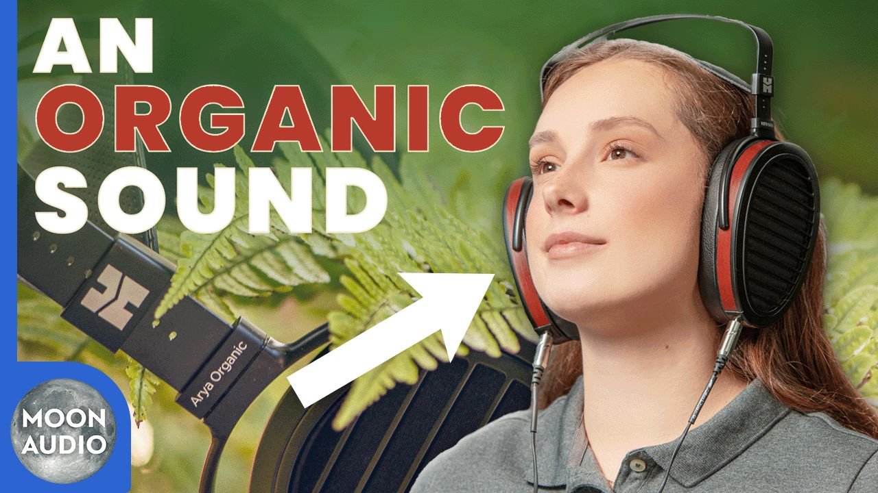 HIFIMAN Arya Organic Headphones Review & Comparison [Video]