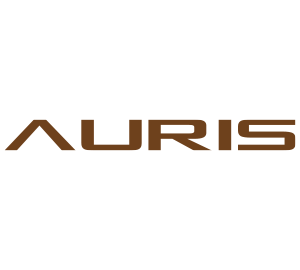 Auris Audio