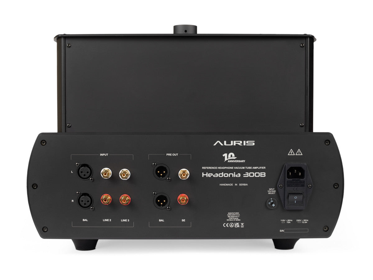 Auris headphone amp sale