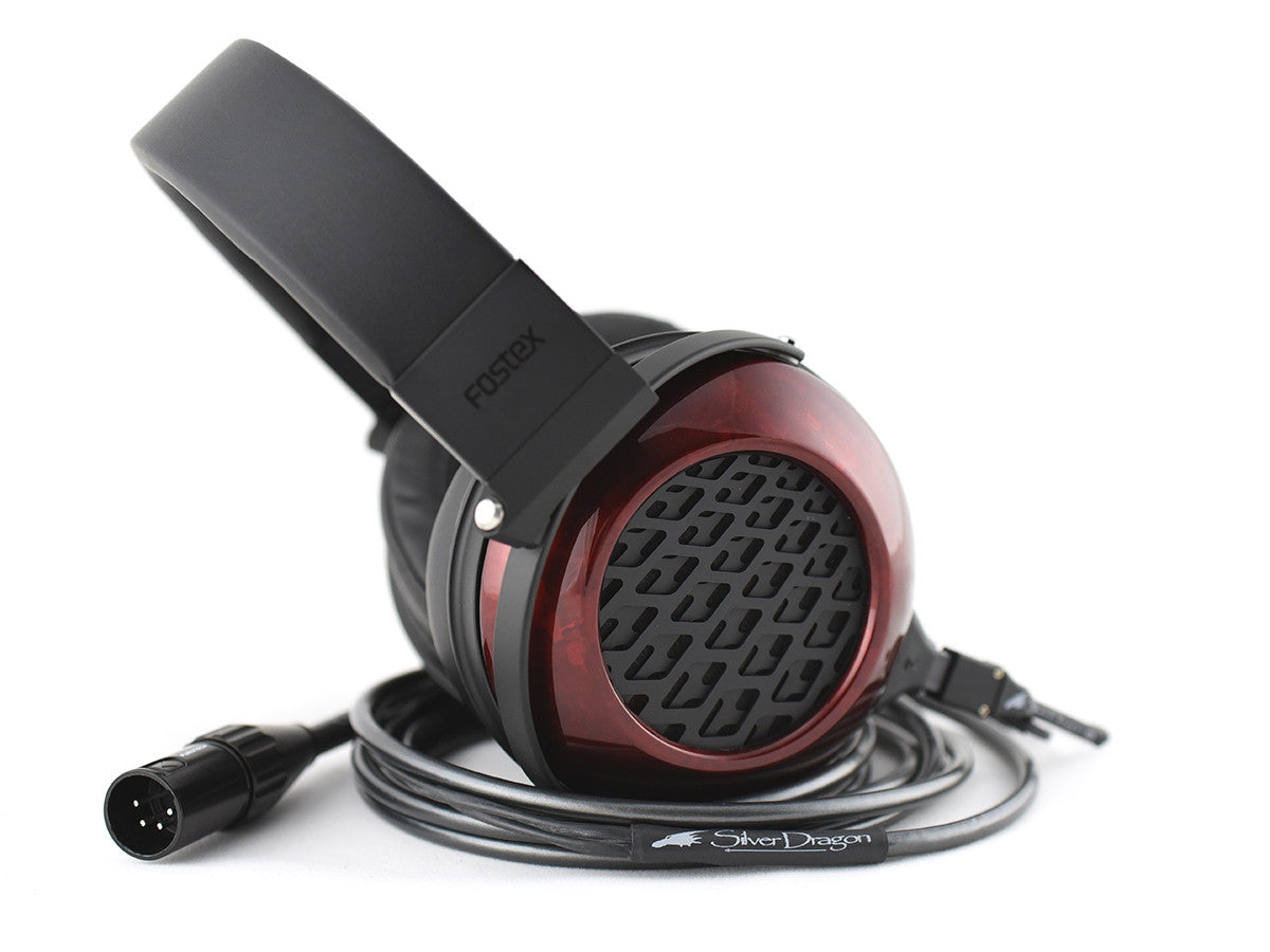 Fostex TH-909 Premium Headphones with Silver Dragon