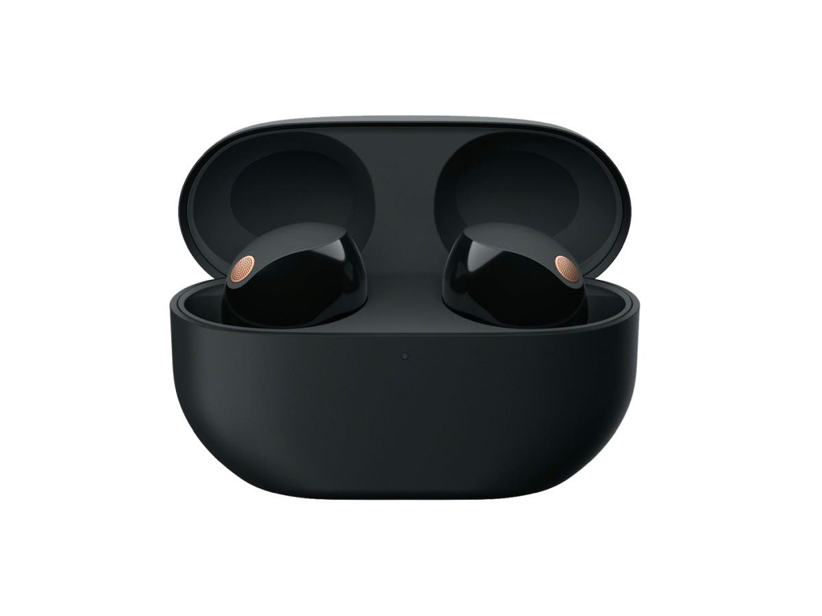 WF-1000XM5 Wireless Earbuds