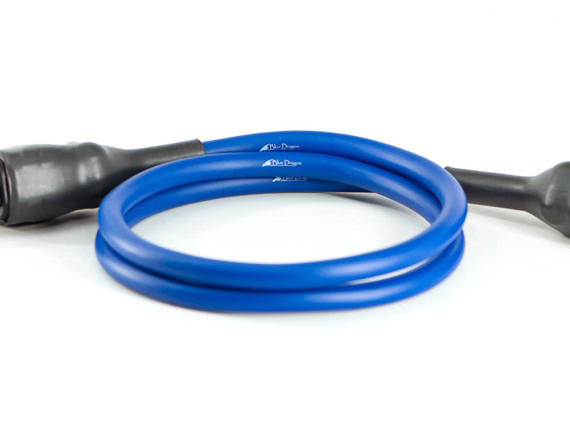 Blue Dragon Power Cable