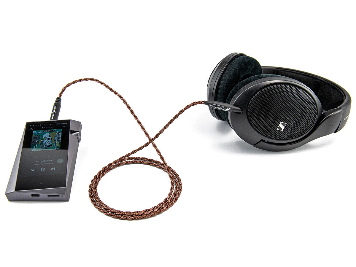 Bronze Dragon Portable Headphone Cable with Sennheiser HD 560 S with Astell and Kern SR25 MKII