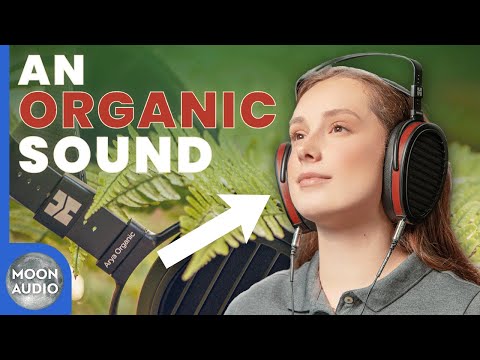 HIFIMAN Arya Organic Headphones Review & Comparison | Moon Audio