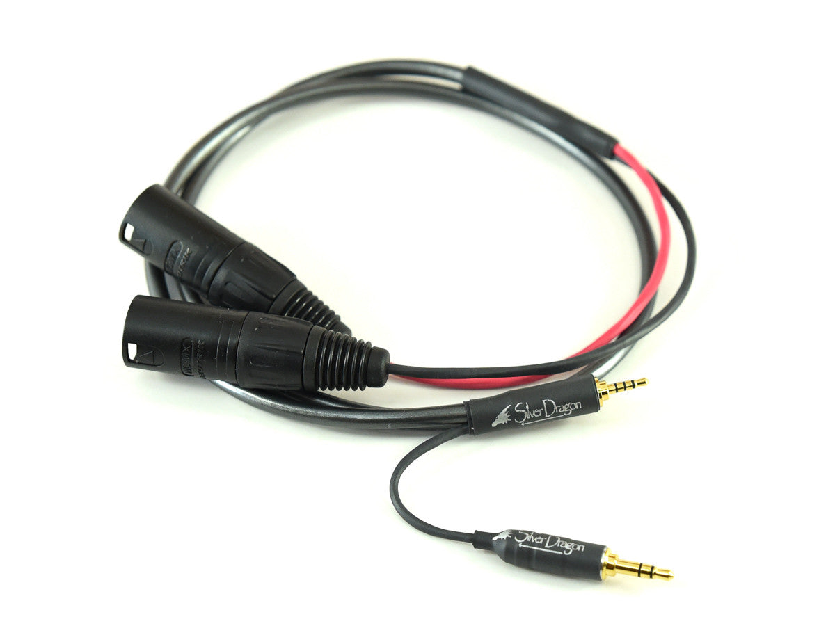 Balanced Grounded Silver Dragon Portable Mini cable for Astell n Kern players